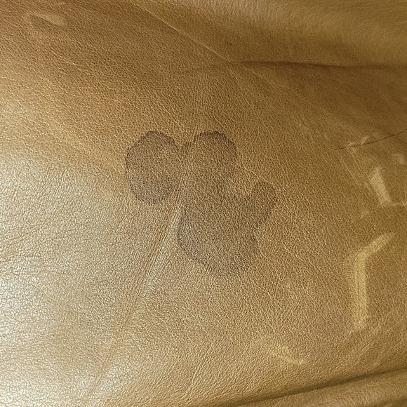 PICOR Men's Brown Leather Coat - Picture 7 of 13